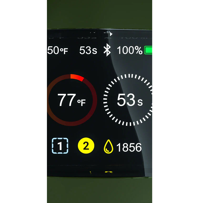 CARTA 2 & SABER BUNDLE - FOREST - Image 7