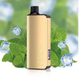 ALIBARBAR INGOT COOL MINT 9000 PUFFS