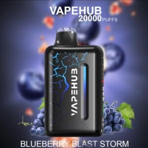 VAPEHUB BLUEBERRY BLAST STORM – 20000 PUFFS